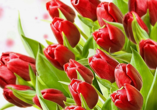 С праздником 8 Марта 2026!