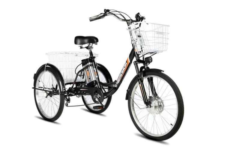 Электровелосипед РВЗ Чемпион 24 складной в Москве