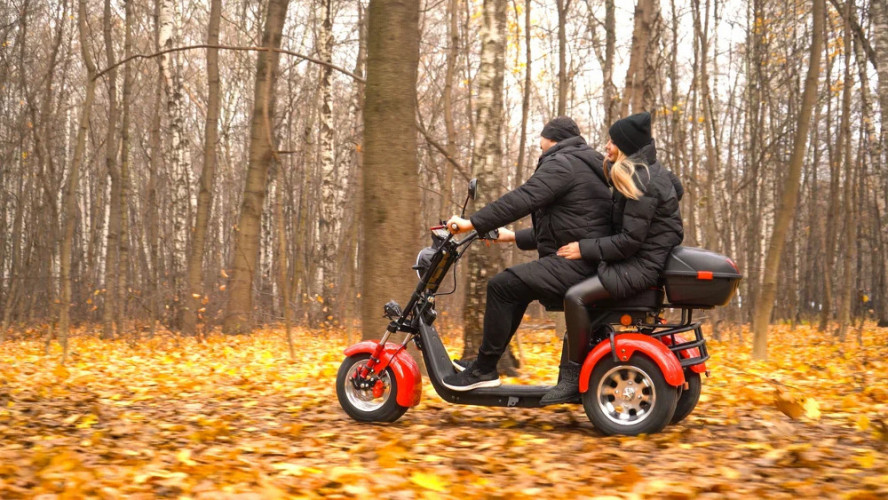 Электроскутер White Siberia PRO TRIKE 3000W в Москве