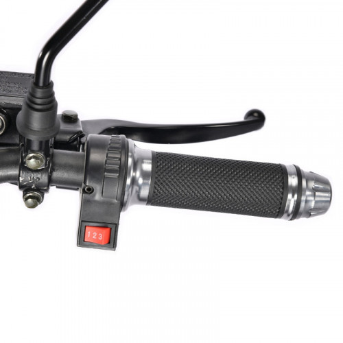 Электроскутер White Siberia TRIKE MINI 1500W в Москве