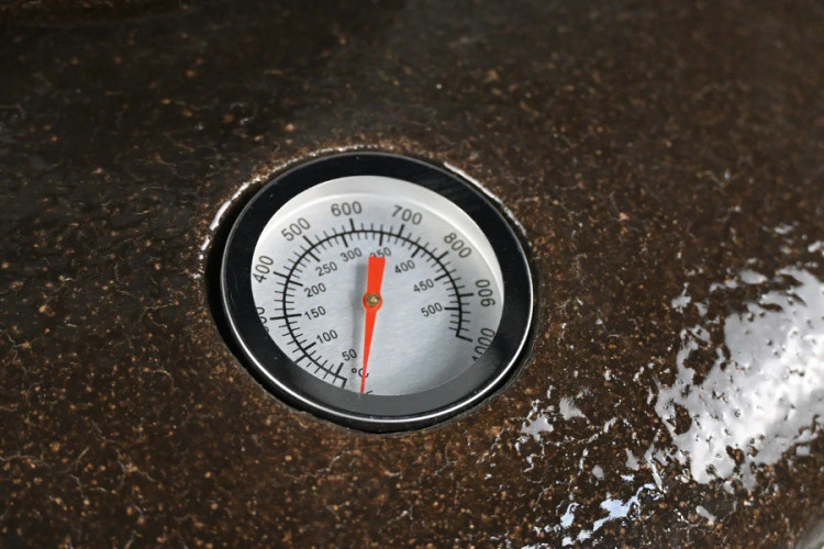 Тандыр Арслан в Москве