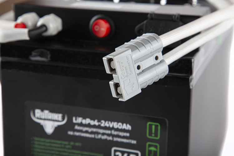 Тяговый железо-фосфатный аккумулятор RuTrike LiFePO4 60V48Ah (60А) в Москве