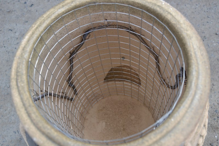 Тандыр Электрический Малый в Москве