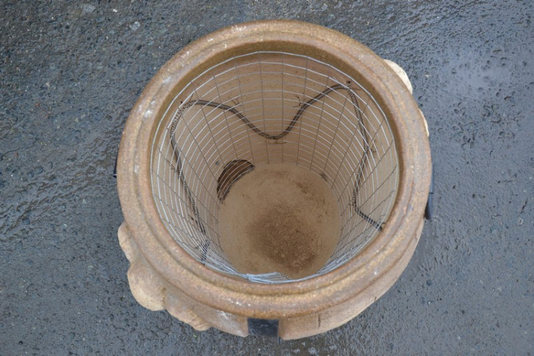 Тандыр Электрический Баран в Москве