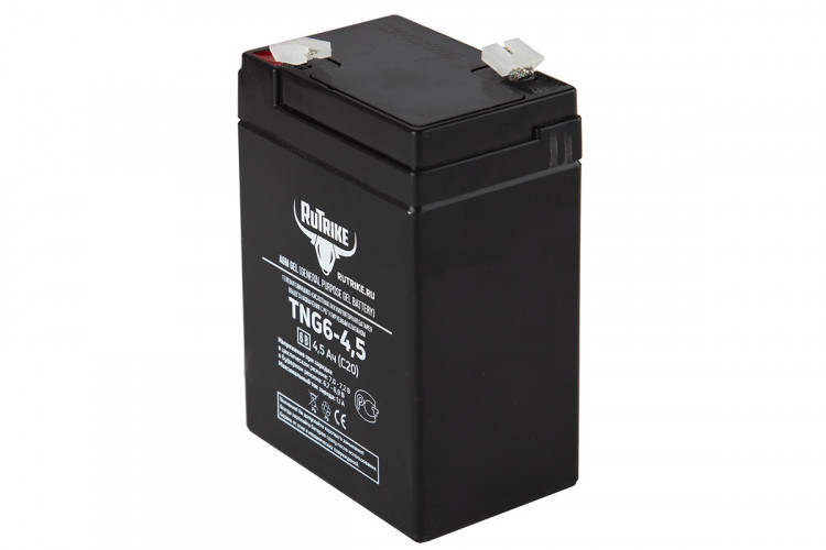 Тяговый гелевый аккумулятор RuTrike TNG 6-4,5 (6V4,5A/H C20) в Москве
