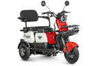Электротрицикл Rutrike Gelbert Vega в Москве