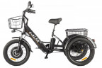 Электрофэтбайк Eltreco Green City e-ALFA Trike в Москве