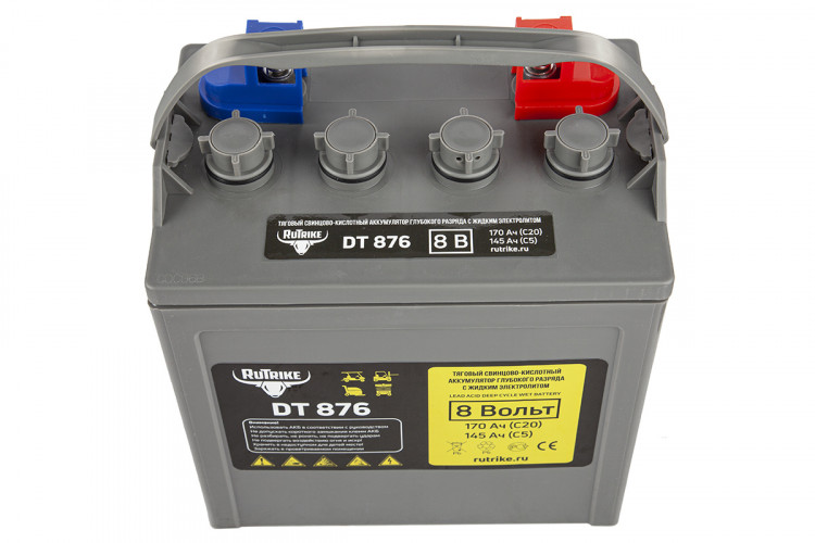 Тяговый аккумулятор RuTrike WET DT876 (T-875) 8V120A/H C3 в Москве