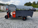 Грузовой электрический трицикл Pаntеrа Гидрaвлика 75V1500W в Москве